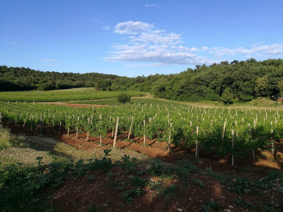 Agriturismo Ostrouska Sgonico Ngoại thất bức ảnh